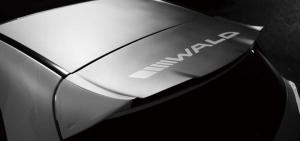 2014 Mercedes-Benz A-Class Black Bison by Wald