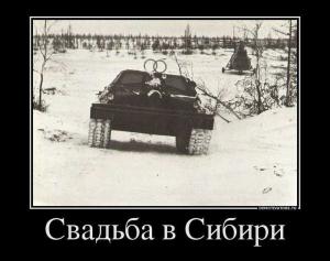 Автомобильные демотиваторы часть 147)