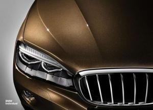 2015 BMW X6 Individual