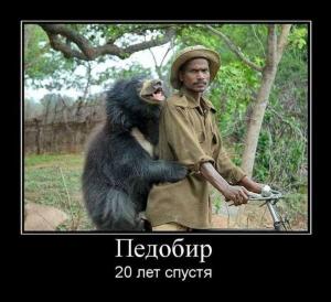 Автомобильные демотиваторы часть 150)