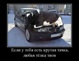 Автомобильные демотиваторы часть 151)