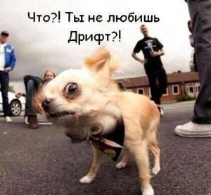 Автомобильные демотиваторы часть 152)