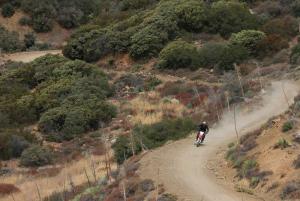 2014 Honda CRF250L