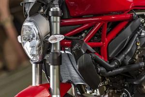 2015 Ducati Monster 821