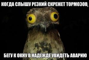 Автомобильные демотиваторы часть 158)