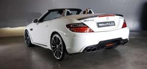 2014 Mercedes-Benz SLK-Class Black Bison by Wald