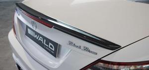 2014 Mercedes-Benz SLK-Class Black Bison by Wald