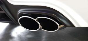 2014 Mercedes-Benz SLK-Class Black Bison by Wald