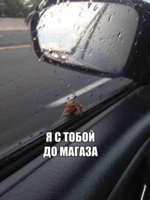 Автомобильные демотиваторы часть 163)