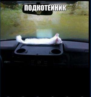 Автомобильные демотиваторы часть 163)