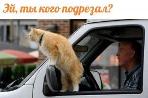 Автомобильные демотиваторы часть 166)