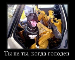 Автомобильные демотиваторы часть 167)
