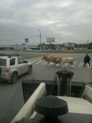 Автомобильная фотоподборка часть 168)