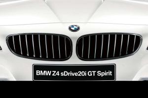 2014 BMW Z4 sDrive20i GT Spirit Special Edition