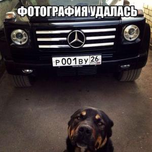 Автомобильные демотиваторы часть 170)
