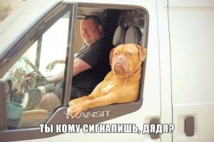 Автомобильные демотиваторы часть 170)
