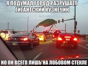 Автомобильные демотиваторы часть 170)