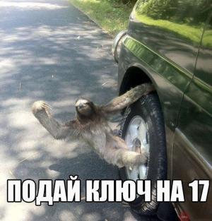Автомобильные демотиваторы часть 170)