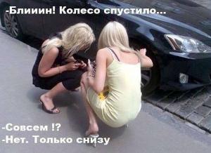 Автомобильные демотиваторы часть 172)