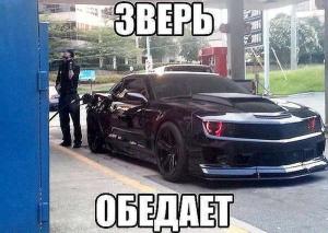 Автомобильные демотиваторы часть 173)