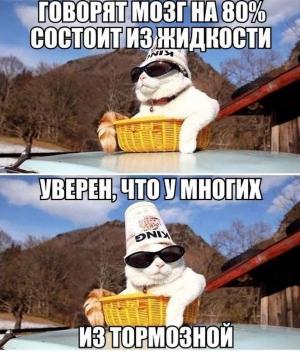 Автомобильные демотиваторы часть 173)