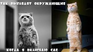 Автомобильные демотиваторы часть 173)