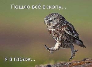 Автомобильные демотиваторы часть 173)