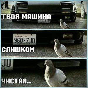 Автомобильные демотиваторы часть 175)