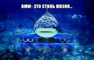 Автомобильные демотиваторы часть 175)