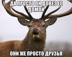 Автомобильные демотиваторы часть 176)