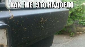 Автомобильные демотиваторы часть 177)