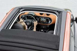 2014 Smart ForFour