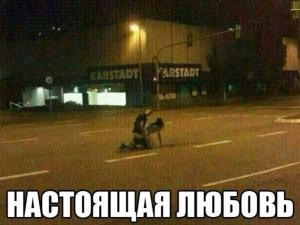 Автомобильные демотиваторы часть 180)