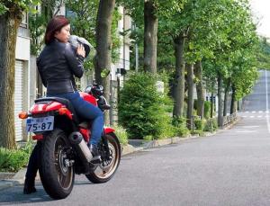 2014 Honda VTR250 LD