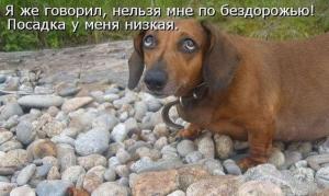 Автомобильные демотиваторы часть 186)