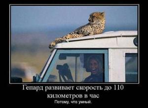 Автомобильные демотиваторы часть 186)