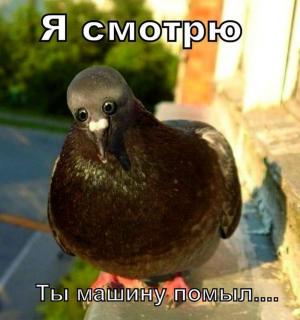 Автомобильные демотиваторы часть 188)