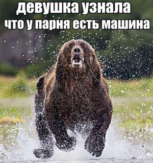 Автомобильные демотиваторы часть 188)