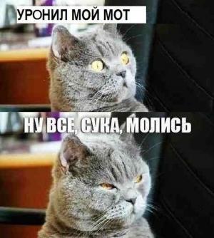 Автомобильные демотиваторы часть 189)