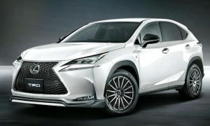 2014 Lexus NX by TRD
