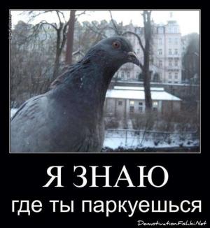 Автомобильные демотиваторы часть 195)