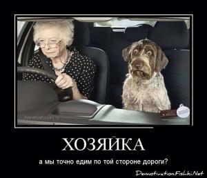 Автомобильные демотиваторы часть 195)