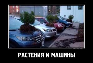 Автомобильные демотиваторы часть 196)