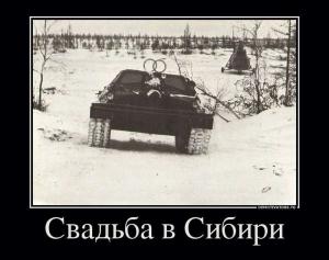 Автомобильные демотиваторы часть 197)