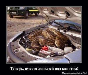 Автомобильные демотиваторы часть 197)