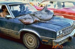 Автомобильная фотоподборка часть 198)
