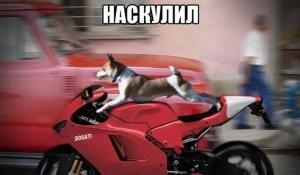 Автомобильные демотиваторы часть 199)