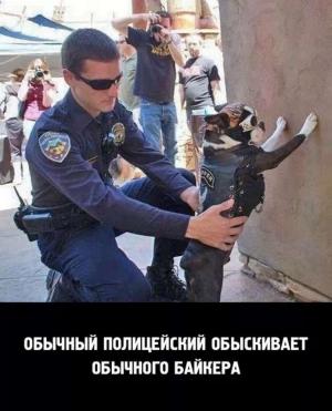 Автомобильные демотиваторы часть 199)