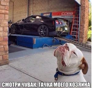 Автомобильные демотиваторы (часть 200)
