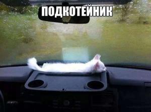 Автомобильные демотиваторы (часть 201)